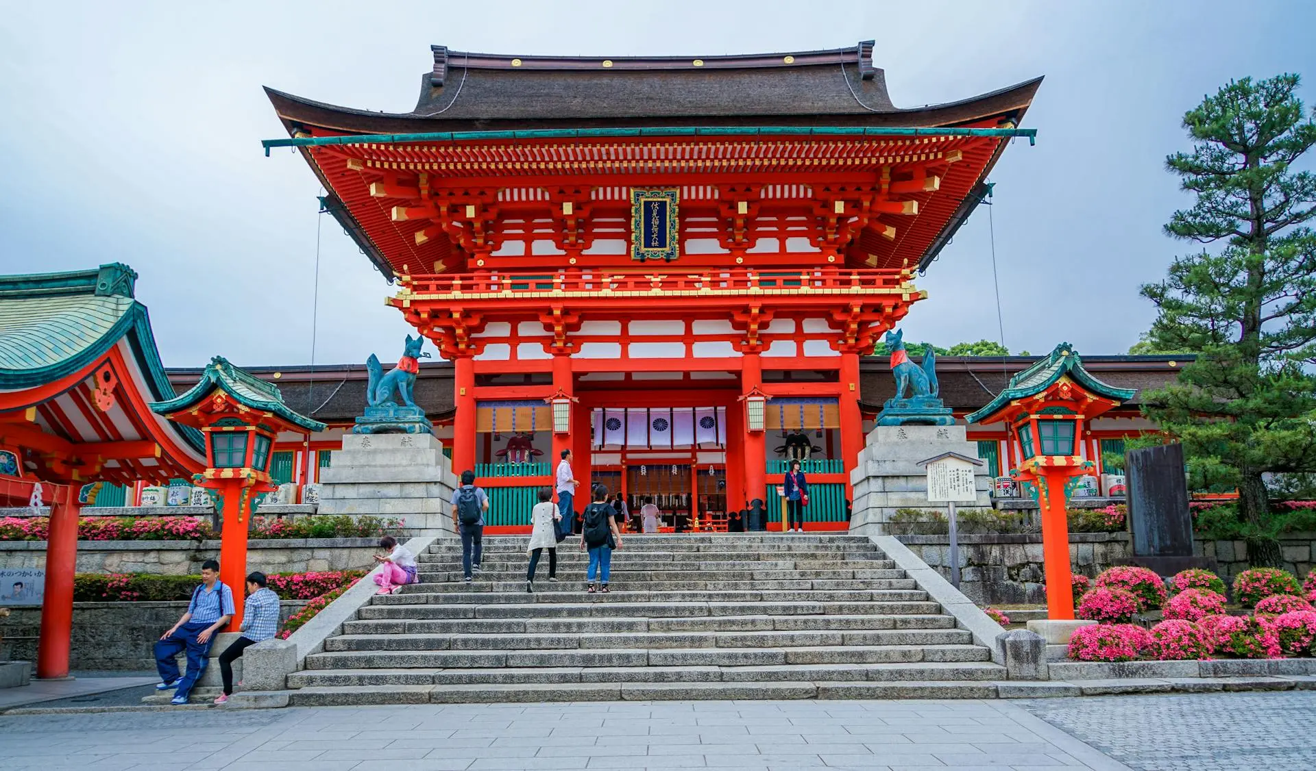 Japan Tour